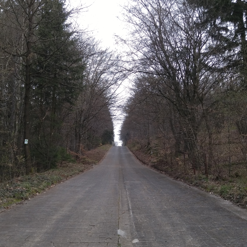 Looking up the steep Steilstrecke - almost a 30% grade !